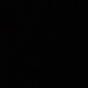 Meet your Posher, Trisha